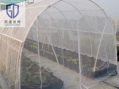 蔬菜防虫网图片2