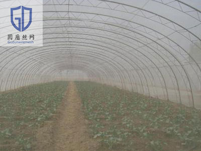 蔬菜防虫网图片3