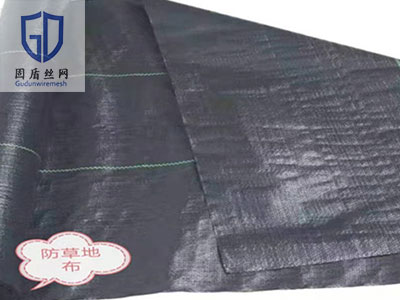 防草地布图片3