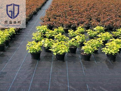 园艺地布图片2