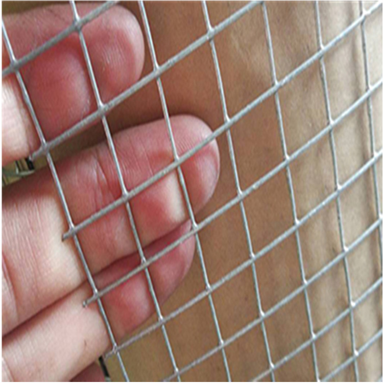 不锈钢防鸟网图片2